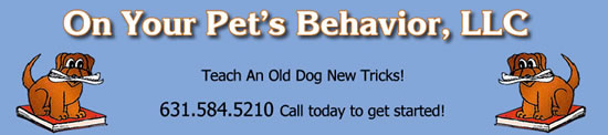 On Your Pets Behavior